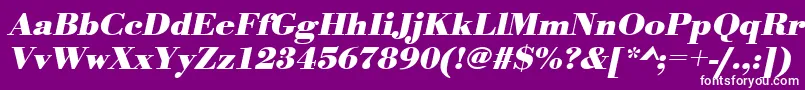 UrwbodonitwidBoldOblique Font – White Fonts on Purple Background