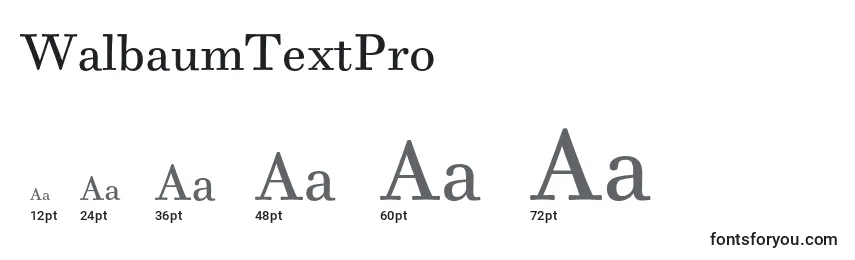 WalbaumTextPro Font Sizes