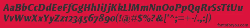 StrayhornMtOsfExtraBoldItalic Font – Black Fonts on Red Background