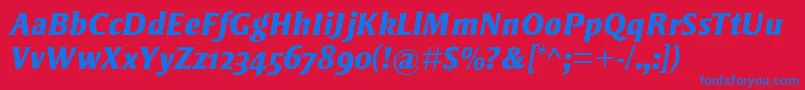 StrayhornMtOsfExtraBoldItalic Font – Blue Fonts on Red Background