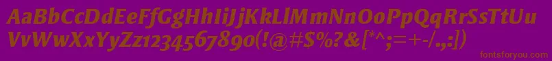 StrayhornMtOsfExtraBoldItalic Font – Brown Fonts on Purple Background