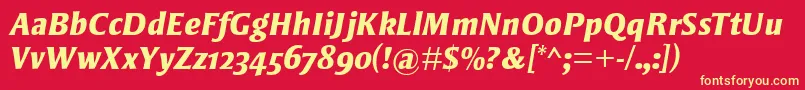 StrayhornMtOsfExtraBoldItalic Font – Yellow Fonts on Red Background