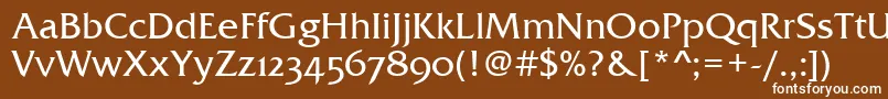 フォントFrizQuadrataOsTt – 茶色の背景に白い文字