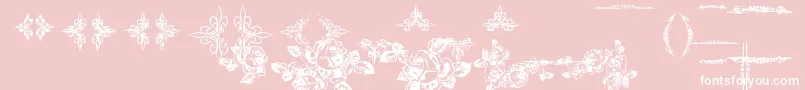 EutemiaOrnaments Font – White Fonts on Pink Background