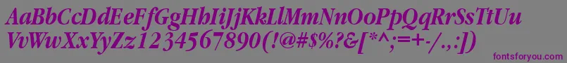 GaramondnarrowbttBolditalic-fontti – violetit fontit harmaalla taustalla