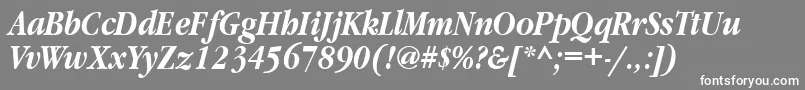 GaramondnarrowbttBolditalic Font – White Fonts on Gray Background