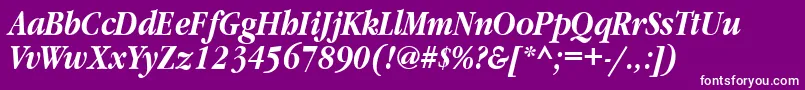 GaramondnarrowbttBolditalic Font – White Fonts on Purple Background