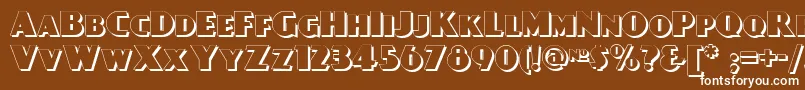 Day Font – White Fonts on Brown Background