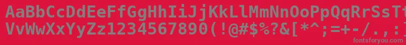 フォントBitstreamVeraSansMonoBold – 赤い背景に灰色の文字