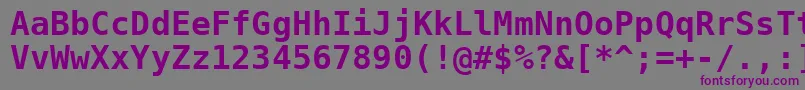BitstreamVeraSansMonoBold Font – Purple Fonts on Gray Background