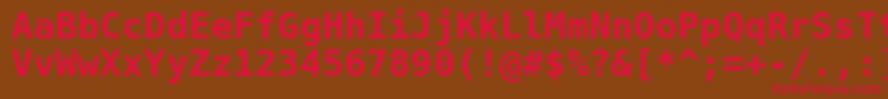 BitstreamVeraSansMonoBold Font – Red Fonts on Brown Background