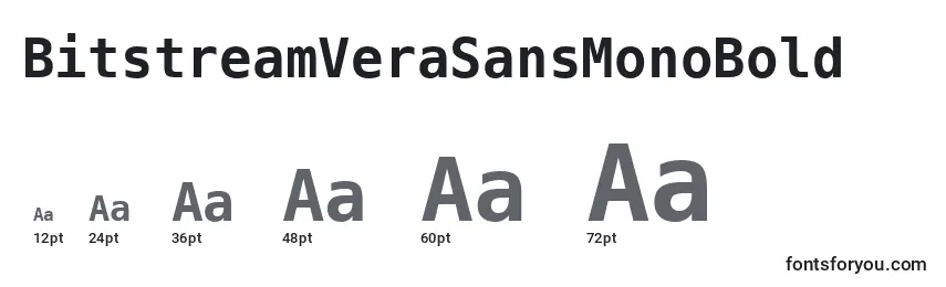 BitstreamVeraSansMonoBold Font Sizes