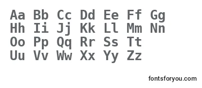 BitstreamVeraSansMonoBold-fontti