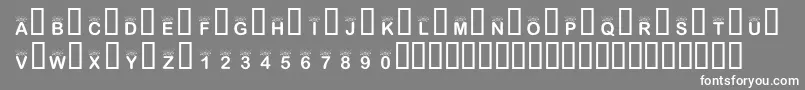 フォントKrInTheSpotlight – 灰色の背景に白い文字