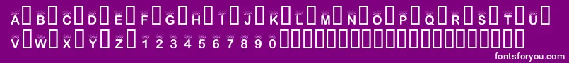 KrInTheSpotlight Font – White Fonts on Purple Background