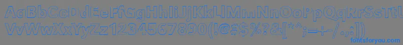 GroteskouMediumRegular Font – Blue Fonts on Gray Background