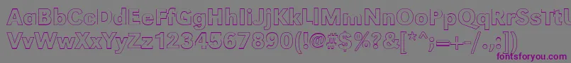 GroteskouMediumRegular Font – Purple Fonts on Gray Background