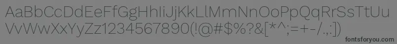 フォントWorksansThin – 黒い文字の灰色の背景