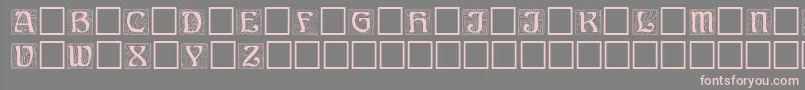 Ann Font – Pink Fonts on Gray Background