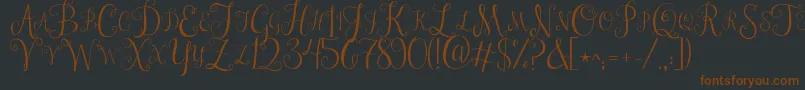 Jandastylishmonogram Font – Brown Fonts on Black Background