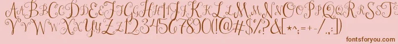 Jandastylishmonogram Font – Brown Fonts on Pink Background