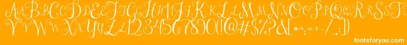 Jandastylishmonogram-Schriftart – Weiße Schriften auf orangefarbenem Hintergrund