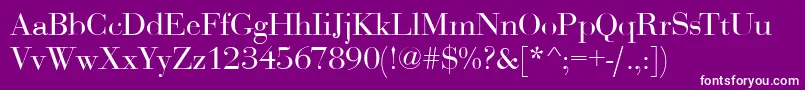 BodoniDisplayRegular Font – White Fonts on Purple Background