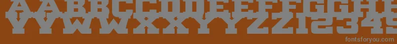 フォントB1gBlock2 – 茶色の背景に灰色の文字