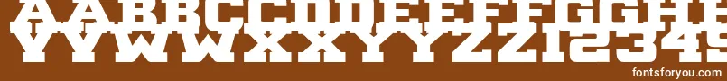 B1gBlock2 Font – White Fonts on Brown Background