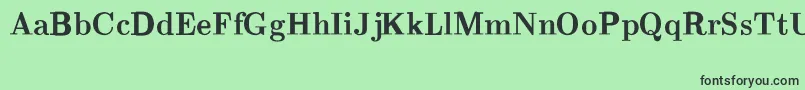 フォントCmRomanBold – 緑の背景に黒い文字
