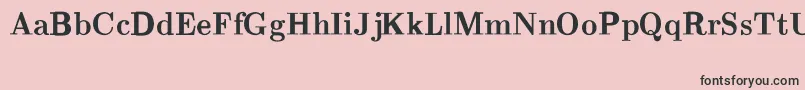 CmRomanBold Font – Black Fonts on Pink Background