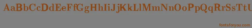 CmRomanBold Font – Brown Fonts on Gray Background