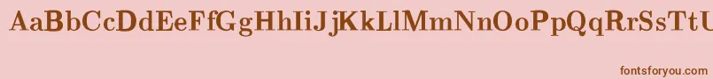 CmRomanBold Font – Brown Fonts on Pink Background