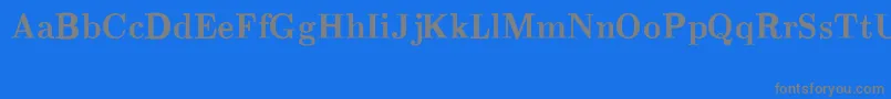 CmRomanBold Font – Gray Fonts on Blue Background