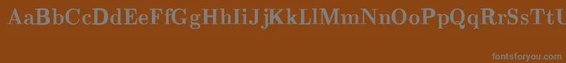 CmRomanBold-Schriftart – Graue Schriften auf braunem Hintergrund