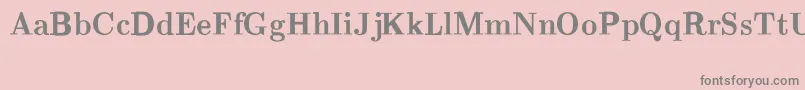 CmRomanBold Font – Gray Fonts on Pink Background
