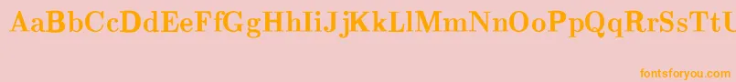 CmRomanBold Font – Orange Fonts on Pink Background
