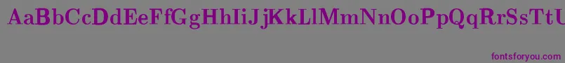 CmRomanBold Font – Purple Fonts on Gray Background