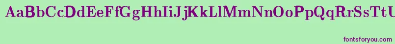 CmRomanBold Font – Purple Fonts on Green Background