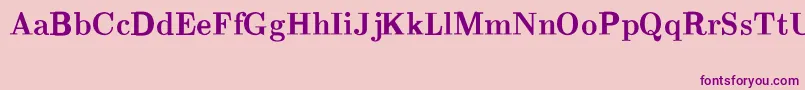 CmRomanBold Font – Purple Fonts on Pink Background
