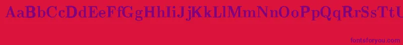 CmRomanBold Font – Purple Fonts on Red Background