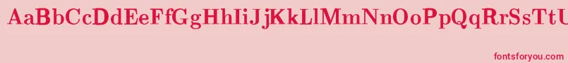 CmRomanBold Font – Red Fonts on Pink Background