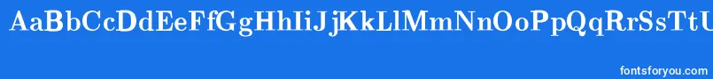 CmRomanBold Font – White Fonts on Blue Background