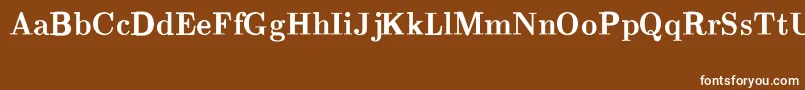 CmRomanBold Font – White Fonts on Brown Background