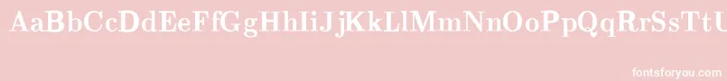 CmRomanBold Font – White Fonts on Pink Background