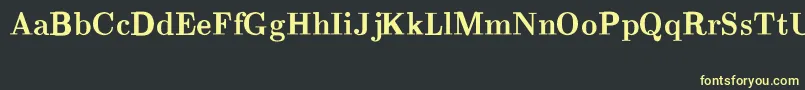 CmRomanBold Font – Yellow Fonts on Black Background