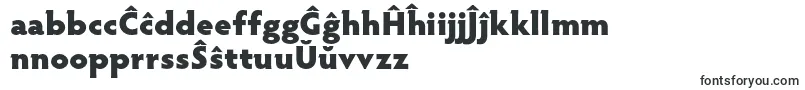 HypatiasansproBlack-Schriftart – esperanto Schriften