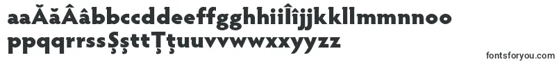 HypatiasansproBlack-Schriftart – rumänische Schriften