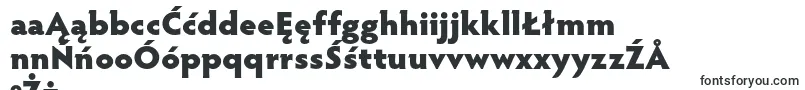HypatiasansproBlack-Schriftart – polnische Schriften