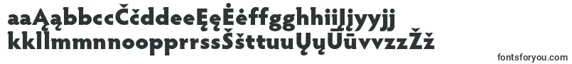 HypatiasansproBlack-Schriftart – litauische Schriften